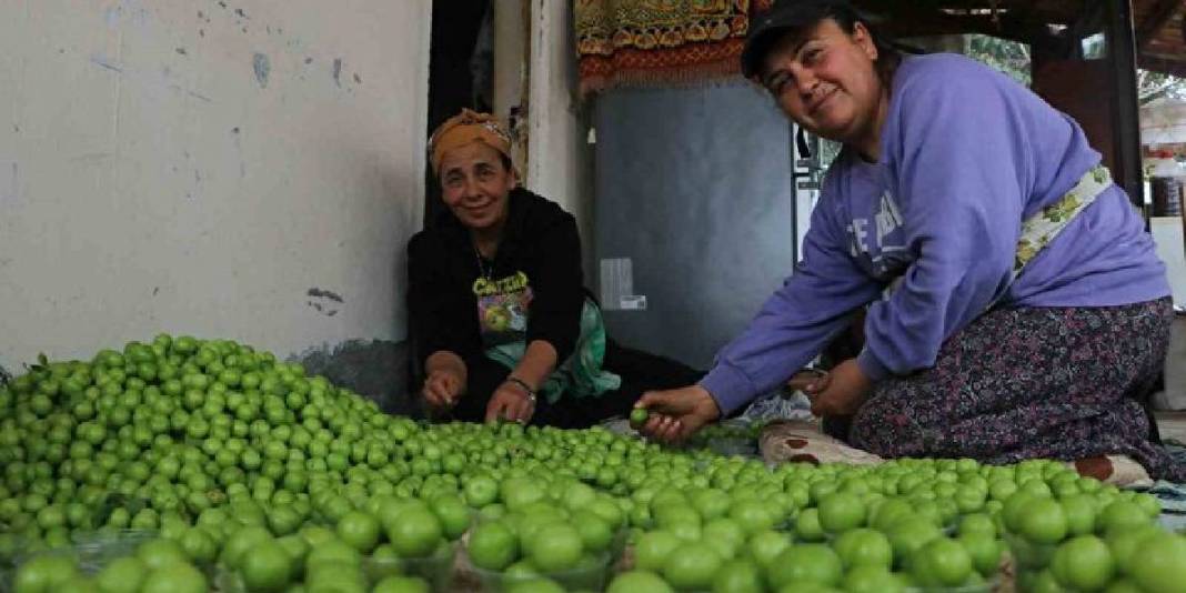 Hatay’daki üretimin ürünleri sınırları aşıyor: Kilosu 500 TL’den tüm dünya yiyor 5